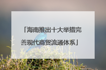海南推出十大举措完善现代商贸流通体系