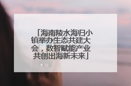 海南陵水海归小镇举办生态共建大会，数智赋能产业共创出海新未来