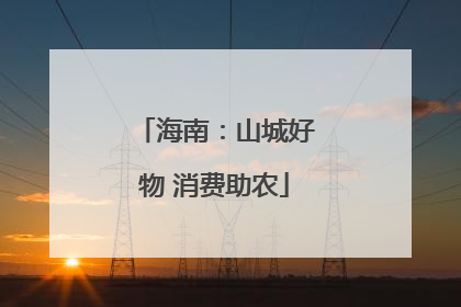 海南：山城好物 消费助农