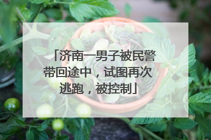济南一男子被民警带回途中，试图再次逃跑，被控制