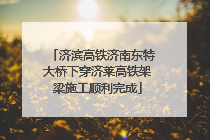 济滨高铁济南东特大桥下穿济莱高铁架梁施工顺利完成