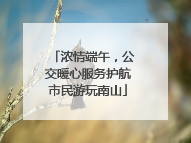 浓情端午，公交暖心服务护航市民游玩南山