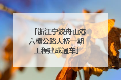 浙江宁波舟山港六横公路大桥一期工程建成通车