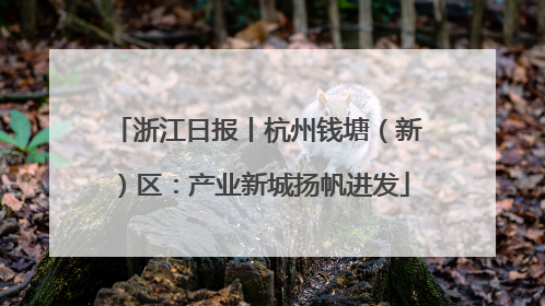 浙江日报丨杭州钱塘（新）区：产业新城扬帆进发