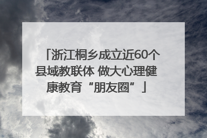 浙江桐乡成立近60个县域教联体 做大心理健康教育“朋友圈”