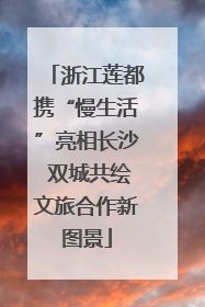浙江莲都携“慢生活”亮相长沙 双城共绘文旅合作新图景