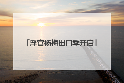 浮宫杨梅出口季开启