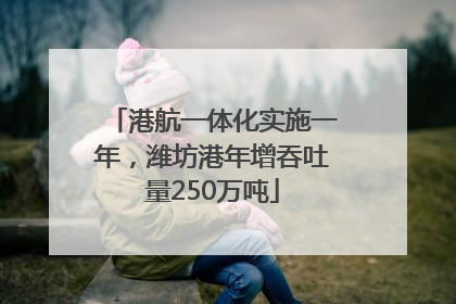 港航一体化实施一年，潍坊港年增吞吐量250万吨