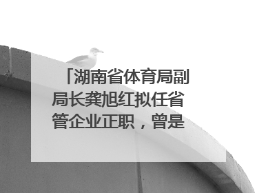 湖南省体育局副局长龚旭红拟任省管企业正职，曾是赛艇亚运冠军