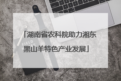 湖南省农科院助力湘东黑山羊特色产业发展