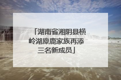 湖南省湘阴县横岭湖麋鹿家族再添三名新成员