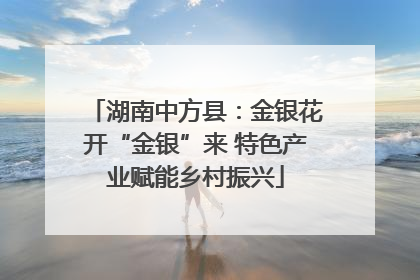 湖南中方县：金银花开“金银”来 特色产业赋能乡村振兴