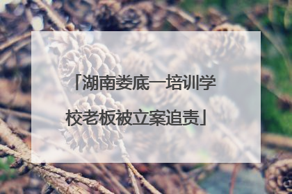 湖南娄底一培训学校老板被立案追责