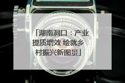 湖南洞口：产业提质增效 绘就乡村振兴新图景