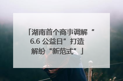 湖南首个商事调解“6.6 公益日”打造解纷“新范式”