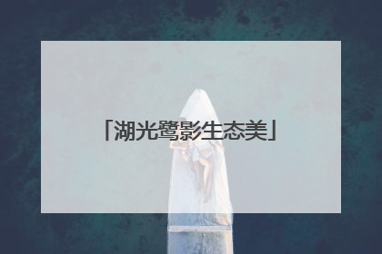 湖光鹭影生态美
