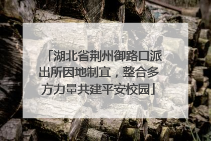 湖北省荆州御路口派出所因地制宜，整合多方力量共建平安校园