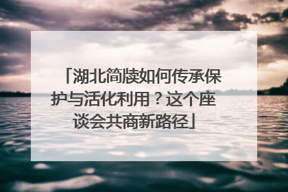 湖北简牍如何传承保护与活化利用？这个座谈会共商新路径