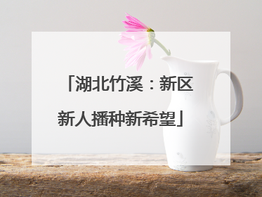 湖北竹溪：新区新人播种新希望