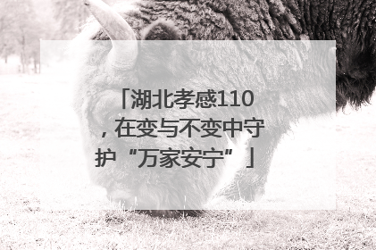 湖北孝感110，在变与不变中守护“万家安宁”