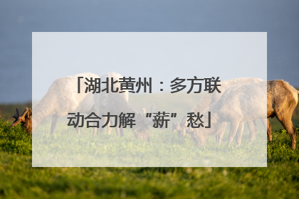 湖北黄州：多方联动合力解“薪”愁