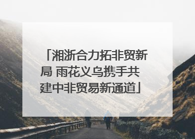湘浙合力拓非贸新局 雨花义乌携手共建中非贸易新通道