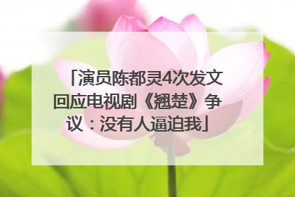 演员陈都灵4次发文回应电视剧《翘楚》争议：没有人逼迫我
