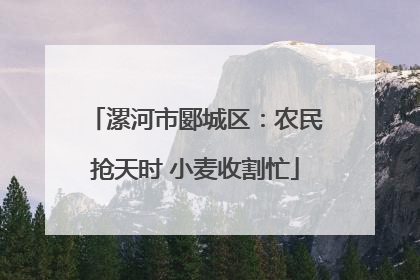 漯河市郾城区：农民抢天时 小麦收割忙