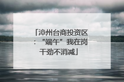 漳州台商投资区：“端午”我在岗 干劲不消减