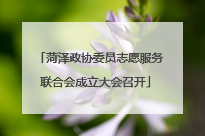 菏泽政协委员志愿服务联合会成立大会召开