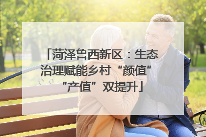 菏泽鲁西新区：生态治理赋能乡村“颜值”“产值”双提升