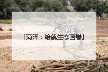 菏泽：绘就生态画卷