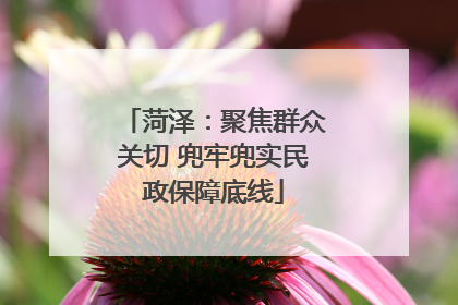 菏泽：聚焦群众关切 兜牢兜实民政保障底线
