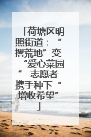 荷塘区明照街道：“撂荒地”变“爱心菜园” 志愿者携手种下“增收希望”