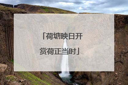 荷塘映日开 赏荷正当时