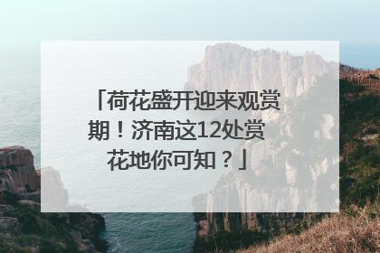荷花盛开迎来观赏期！济南这12处赏花地你可知？
