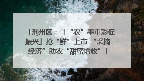 荆州区：「“农”墨重彩促振兴」抢“鲜”上市 “采摘经济”助农“甜蜜增收”
