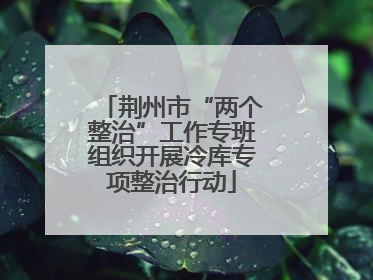 荆州市“两个整治”工作专班组织开展冷库专项整治行动