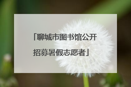 聊城市图书馆公开招募暑假志愿者