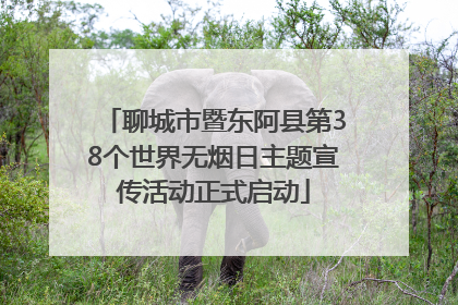 聊城市暨东阿县第38个世界无烟日主题宣传活动正式启动