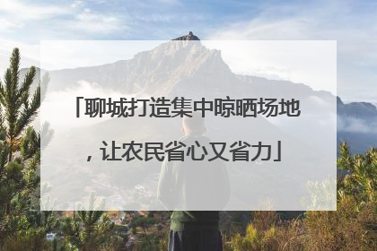 聊城打造集中晾晒场地，让农民省心又省力