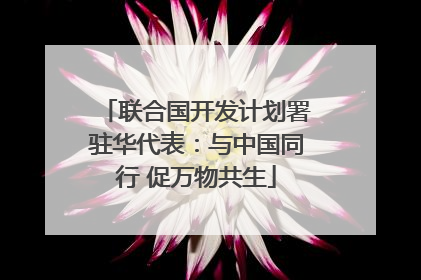 联合国开发计划署驻华代表：与中国同行 促万物共生