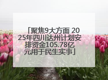 聚焦9大方面 2025年四川达州计划安排资金105.78亿元用于民生实事