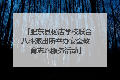 肥东县杨店学校联合八斗派出所举办安全教育志愿服务活动