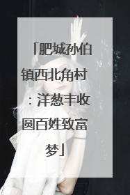 肥城孙伯镇西北角村：洋葱丰收圆百姓致富梦
