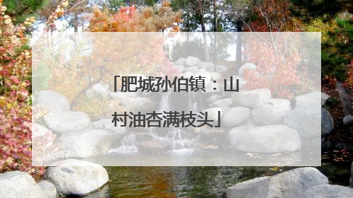 肥城孙伯镇：山村油杏满枝头