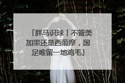 胖马识球丨不管美加墨还是西葡摩，国足唯留一地鸡毛