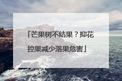 芒果树不结果？抑花控果减少落果危害