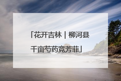 花开吉林｜柳河县千亩芍药竞芳菲
