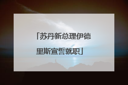 苏丹新总理伊德里斯宣誓就职